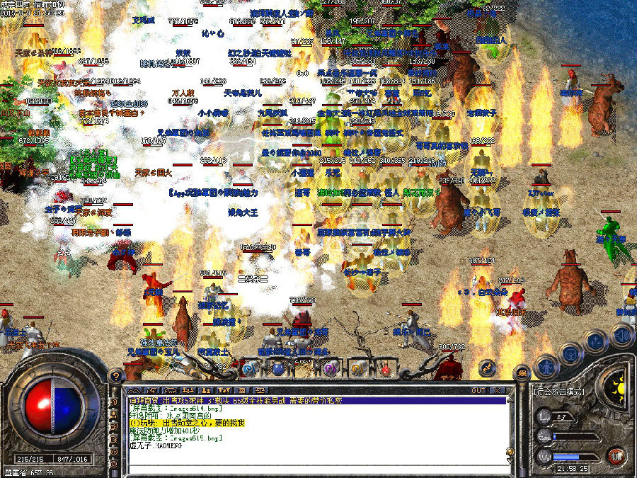 5.jpg