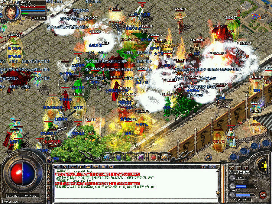 5.jpg
