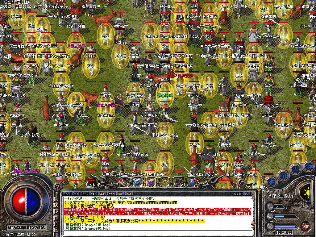 4.JPG