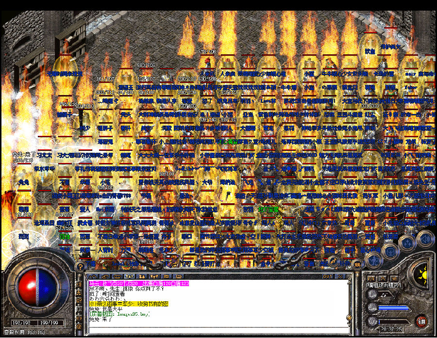 8.jpg