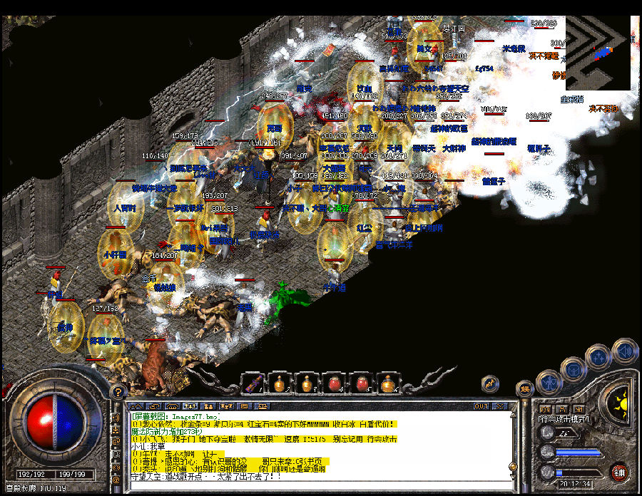 5.jpg