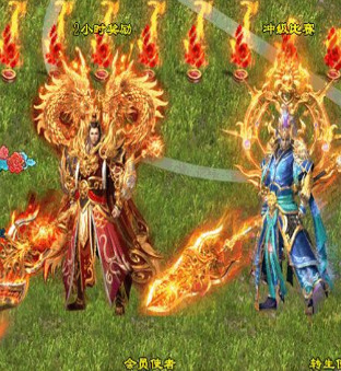 很少有玩家可以进入平步青云这个地图 很少有玩家可以进入平步青云这个地图