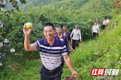 新私服传奇阴阳师紧那罗优异的特性怎么样