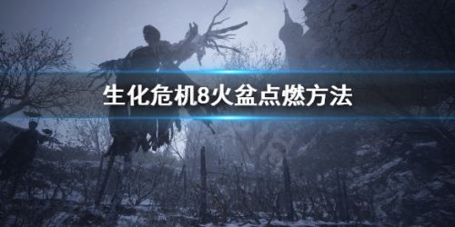 生化危机8火盆怎么点燃 火盆点燃方法一览 生化危机8火盆怎么点燃 火盆点燃方法一览