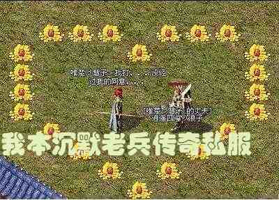 我本沉默老兵传奇私服游戏截图2