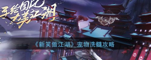 新笑傲江湖手游宠物洗髓要点攻略 新笑傲江湖手游宠物洗髓要点攻略 宠物怎么洗髓