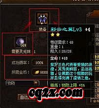 463.jpg