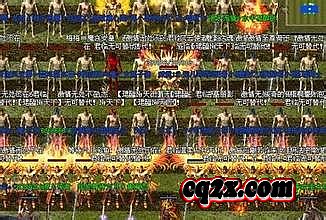 870.jpg